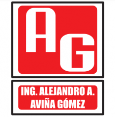 Ing. Alejandro Arturo Aviña Gómez